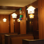 Plastic Wall Cladding