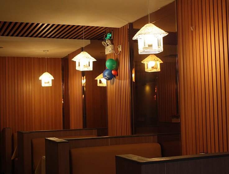 Plastic Wall Cladding